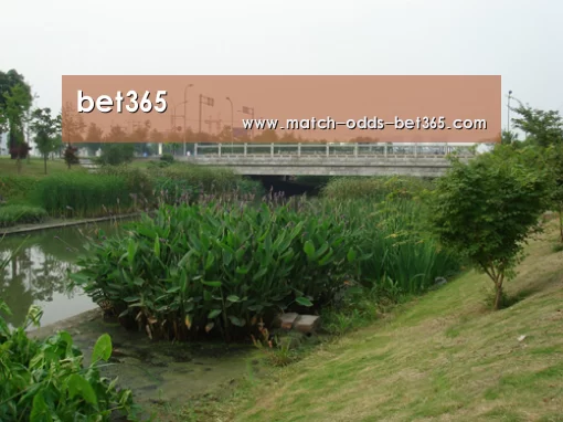 案例展示四(图1)