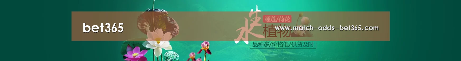 鲜花水草花卉网站模板